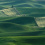 Palouse