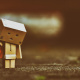 Danbo