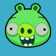 Bad Piggies