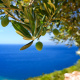 Mediterranean Sea