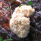 Hericium