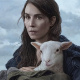 Lamb