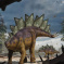 Pterosaurs