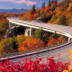Linn Cove Viaduct