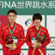 FINA Diving World Series