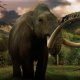 Triceratops