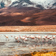 Laguna Hedionda
