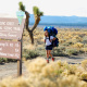 Mojave Desert
