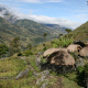 Baliem Valley