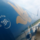 SkyTeam