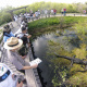 Anhinga Trail