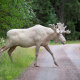 Sweden