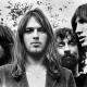 David Gilmour