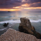 Muriwai