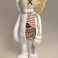 KAWS Companion Flayed