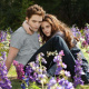 Twilight Breaking Dawn