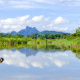 Sepik River