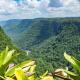 Kaieteur National Park