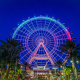 The Wheel at ICON Park