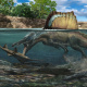 Onchopristis
