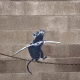Tightrope Rat