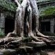 Ta Prohm