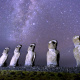 Milky Way