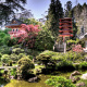 Japanese Tea Garden