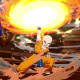 Destructo Disc