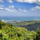 El Yunque National Forest