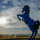 Blue Mustang