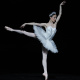 Swan Lake