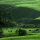 Waikato