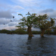Laguna Grande