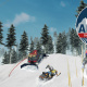 Alpine The Simulation Game