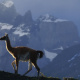 Torres del Paine