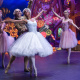 Sugar Plum Fairy