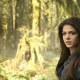 Marie Avgeropoulos