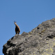 High Tatras