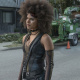 Domino