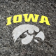 Iowa Hawkeyes