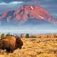 Grand Teton National Park
