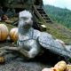Hagrid's Hut