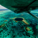 Caribbean