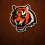 Cincinnati Bengals