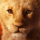 Simba