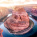 Horseshoe Bend