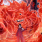 Itachi Uchiha