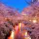 Meguro River