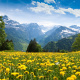 Snowy Swiss Alps peaks
